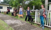 2&ordf; edi&ccedil;&atilde;o do Passeio do Bem movimenta volunt&aacute;rios e pets no N&uacute;cleo de Bem-Estar Animal