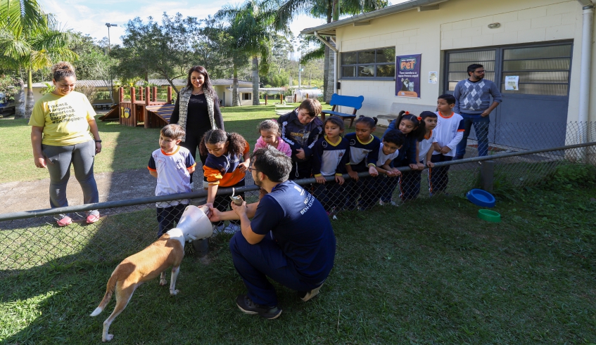 Projeto Nubea de Portas Abertas estimula os mogianos a conhecerem o núcleo, que abriga cerca de 100 animais, entre gatos e cachorros (Divulgação/PMMC)