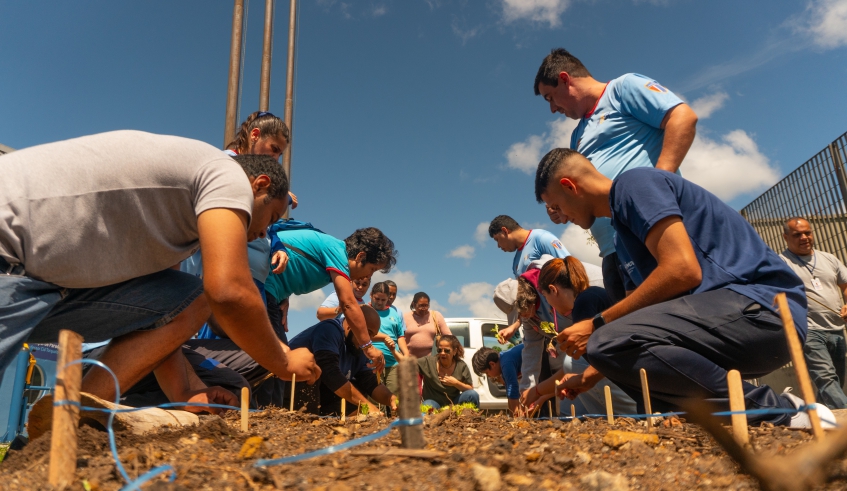 Plantio no Centro Municipal de Paradesporto é uma parceria entre as Secretarias de Esporte e Lazer e de Agricultura e Segurança Alimentar (Divulgação/PMMC)