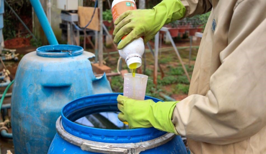 Para efetuar a entrega, os produtores devem seguir as orientações da tríplice lavagem: enxaguar os recipientes três vezes, perfurar o fundo e manter tampa e rótulo