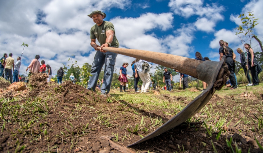 Plantio de mudas contou com a participação de secretários municipais e também de voluntários nesta quinta-feira, dia 27 de novembro (Divulgação/PMMC)