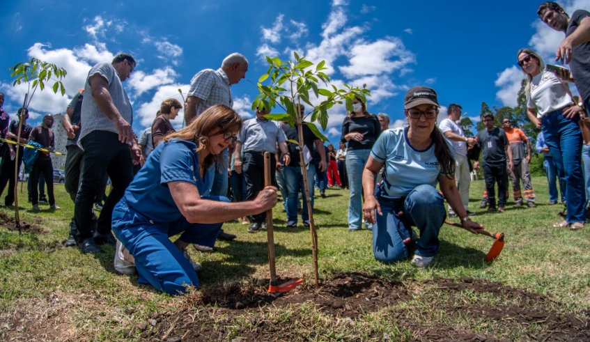 Prefeita Mara Bertaiolli durante o plantio de mudas: árvores contribuem para uma cidade cada vez mais verde e que respeita o meio ambiente (Divulgação/PMMC)