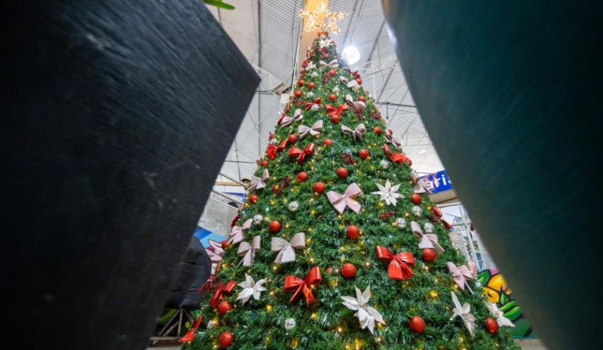 Instalada na área central do Mercado, a árvore se tornou o principal ponto para fotos e vídeos, atraindo famílias, crianças e turistas que circulam pelo local diariamente
