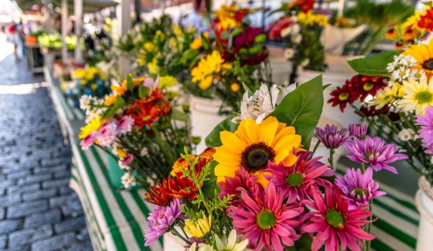 São oportunidades para diferentes segmentos do comércio: desde hortifrúti a flores e demais itens que compõem a diversidade tradicional das feiras mogianas
